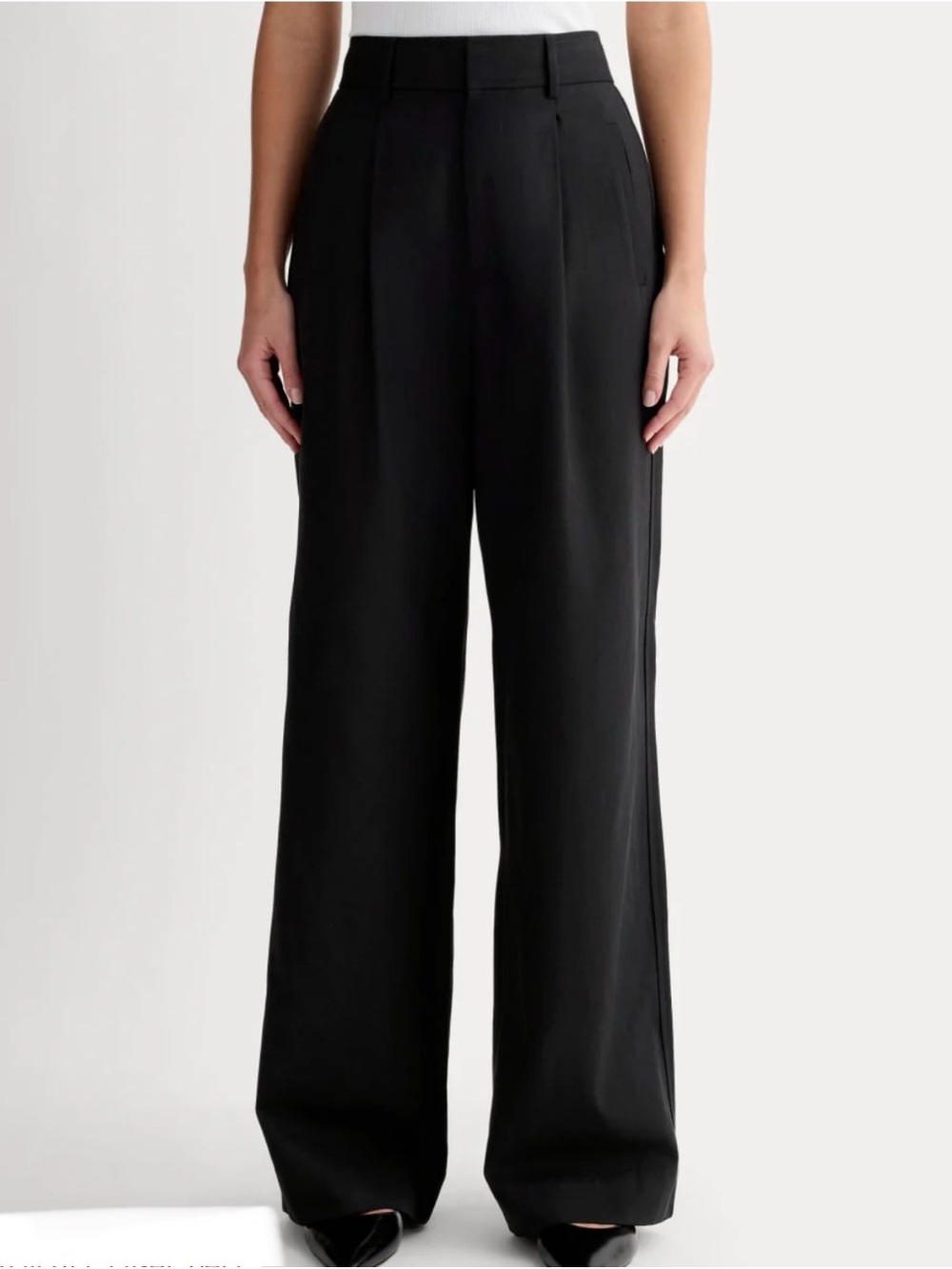 NWT Everlane Way-High Drape Pant